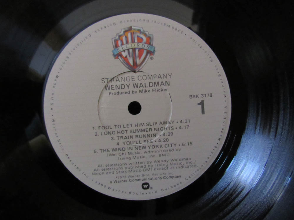 Wendy Waldmen - Strange Company - Image 5
