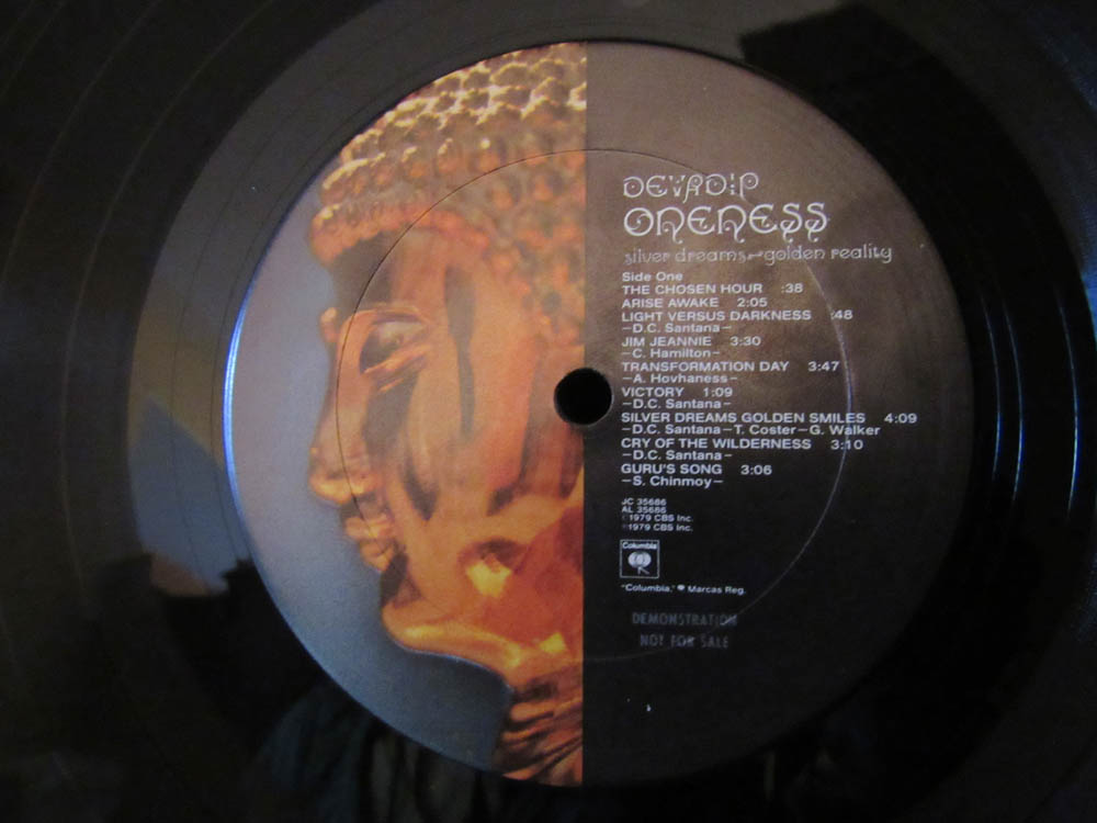Devadip - Oneness (Silver Dreams ~ Golden Reality) - Image 8