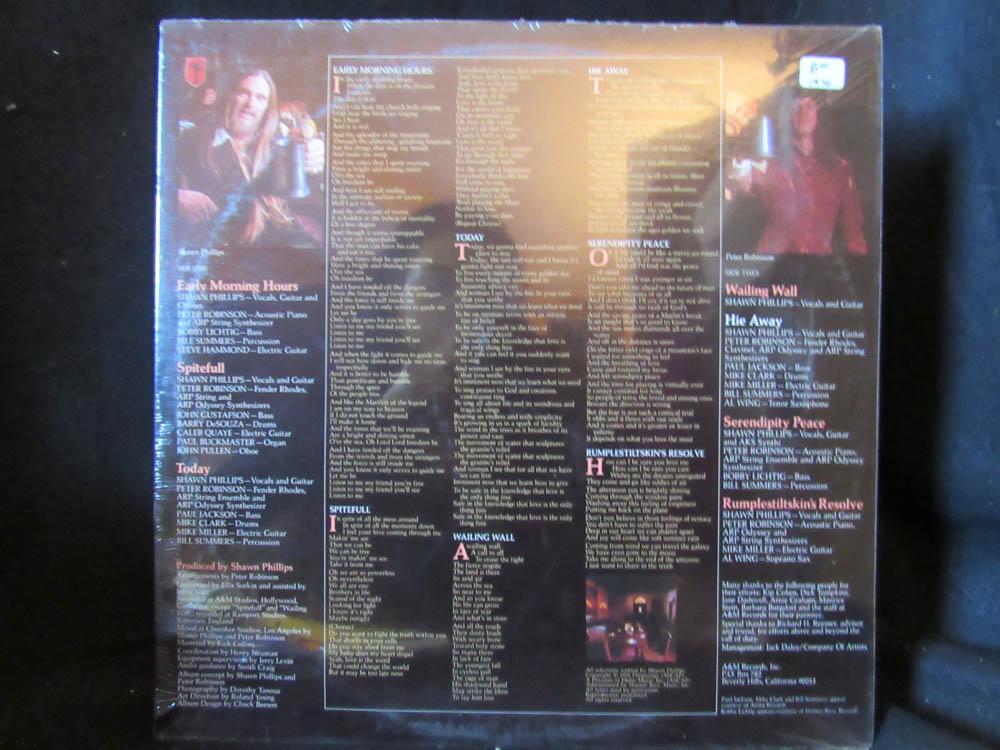 Shawn Philips - Rumplestiltskin's Resolve - Image 2