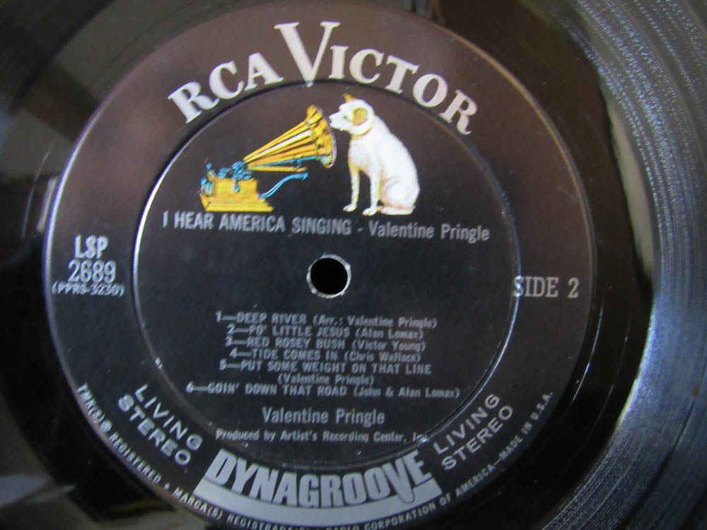 Valentine Pringle - I Hear America Singing - Image 6